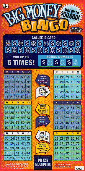 Big Money Bingo (Issue #1)